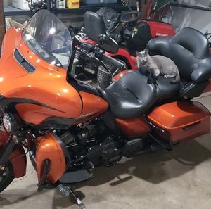 Meet your Posher, Tracymae